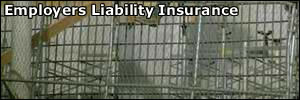 Employees working with employers liability insurance