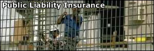 Men working with public liability insurance